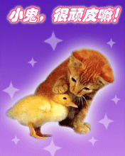 msn-wgx-dh0057.gif