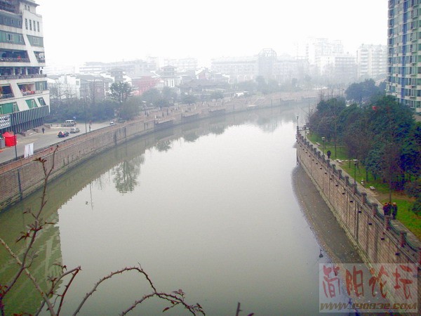 成都风光7.JPG