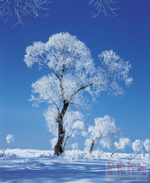 shanshuifengjing2_345.jpg