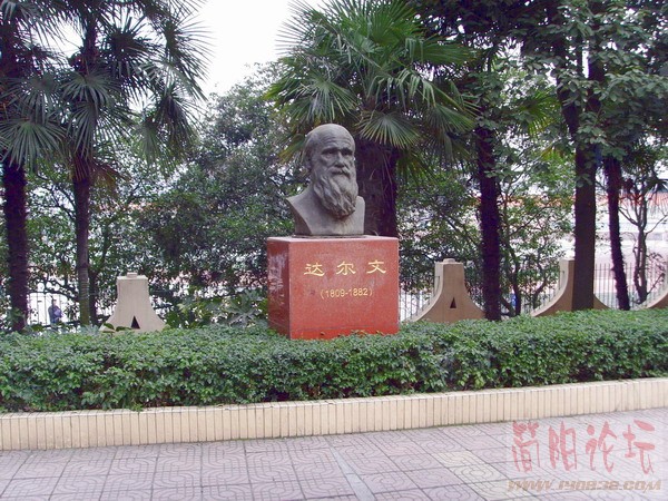 川师风光36.JPG