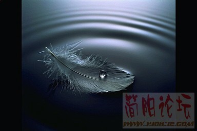 tp-hzy-wy-006.jpg