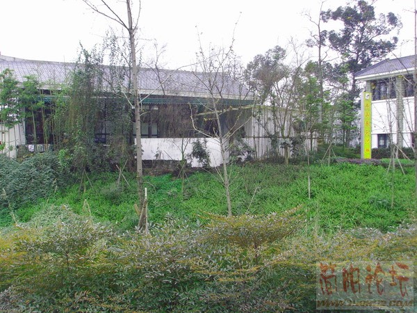 改造后的成都沙河畔--25.JPG