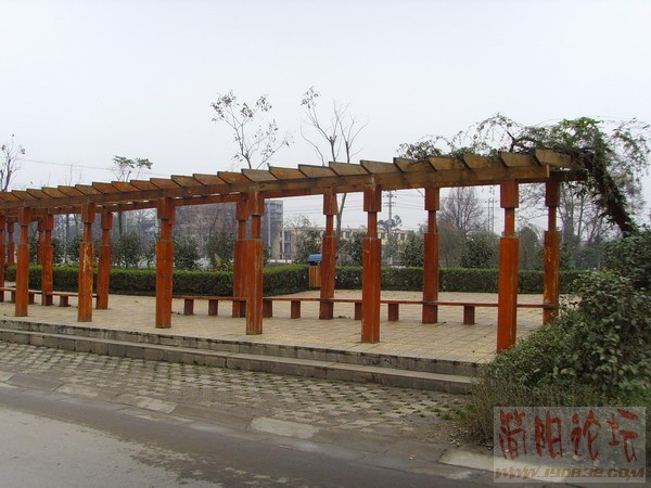 改造后的成都沙河畔--18.JPG