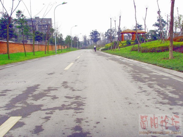 改造后的成都沙河畔--31.JPG
