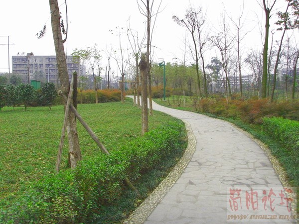 改造后的成都沙河畔--26.JPG