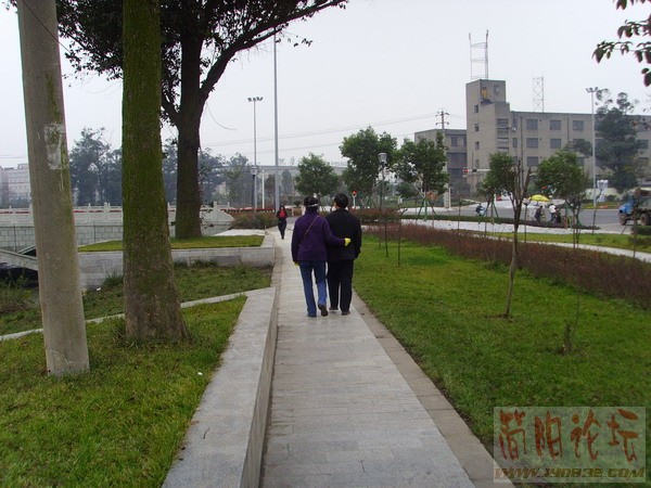 改造后的成都沙河畔--17.JPG