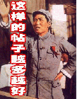 好貼越多越好.gif