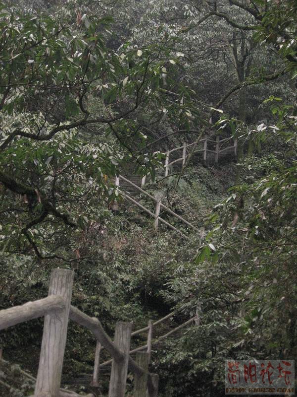 九十九道拐开始部分.jpg