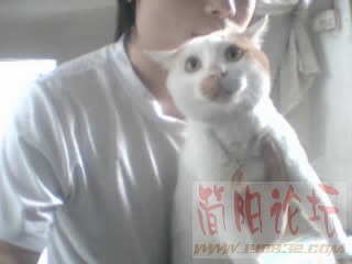猫5.jpg