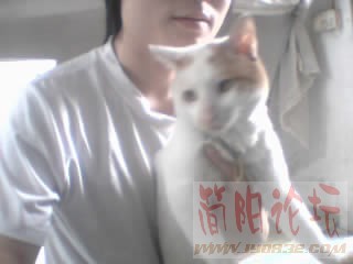 猫6.jpg