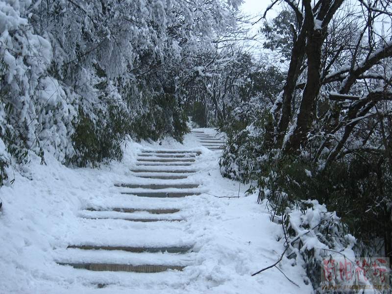 美丽的冰雪世界.jpg