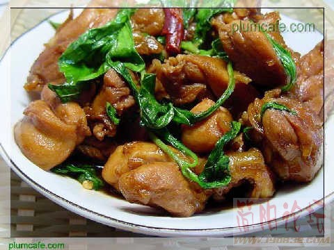 xinsimple_130402201738187920024.jpg
