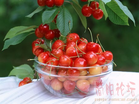 xinsrc_4806022017235871836912.jpg