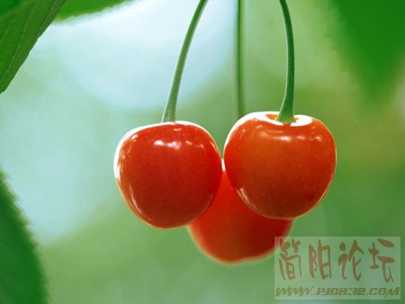 xinsrc_5506022017233071019119.jpg