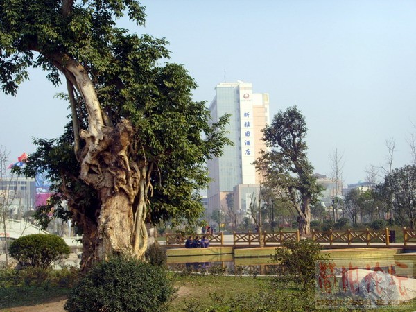 飘掠简阳15.JPG