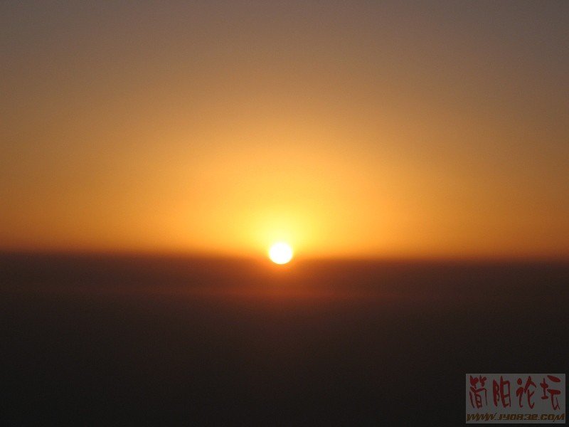 太美了.jpg