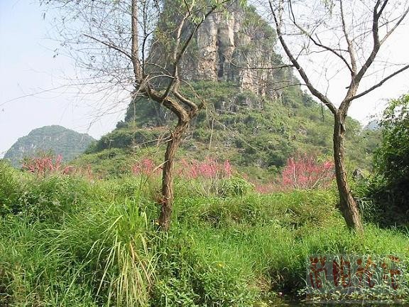 桃花源.jpg