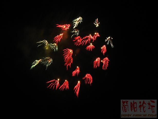 烟花5