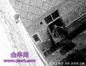 无标题.jpg