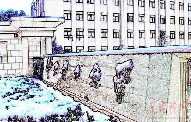 我女朋友用圆珠笔画的我们学校大门的雪景.JPG